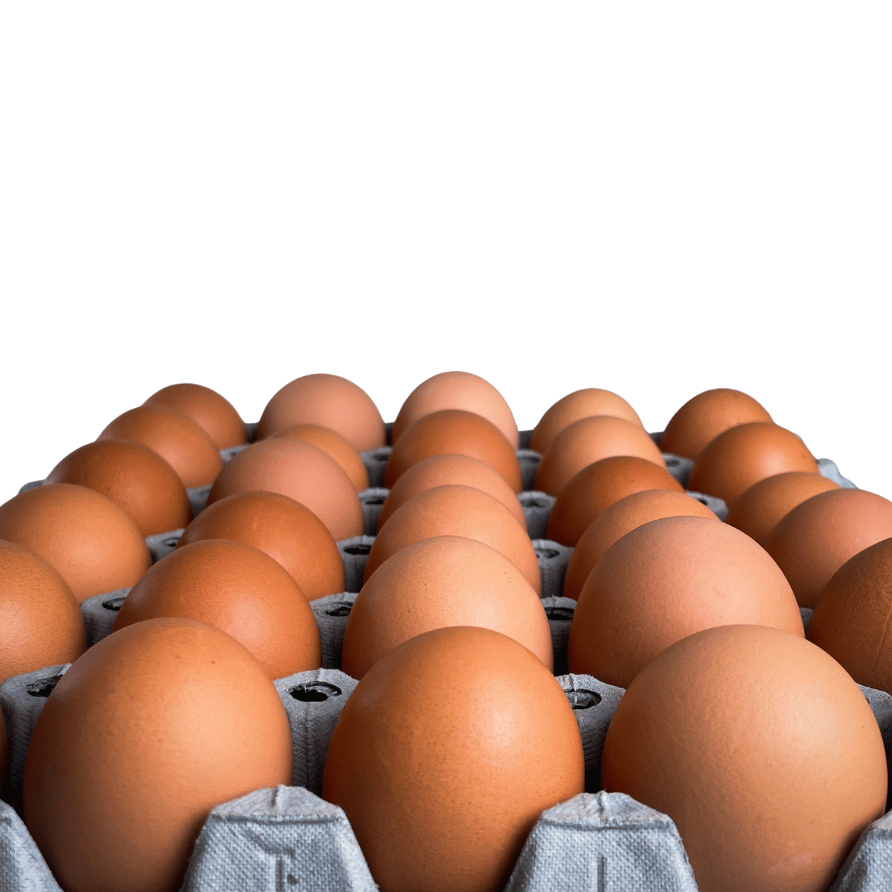 Brune egg fra Høgaunet gård - økologisk kraftfôr